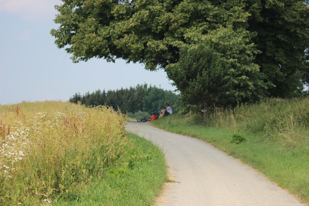 Penzion Keramika Jindřichův Hradec Exterior foto